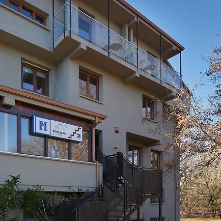 Hostal Rural Aritzalko エチャリ＝アラナツ エクステリア 写真